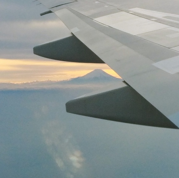 Meet your Posher, Jo - Picture 1 of 1